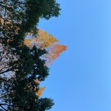 不语
