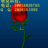 wqjiang66