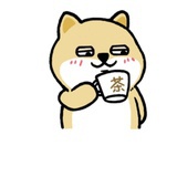 小柴