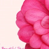 Smile-眼眸的光-