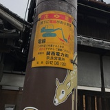 夢遊者