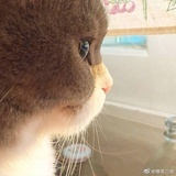 L的脆脆角