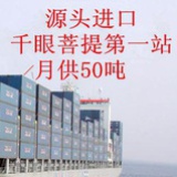 菩提子批发