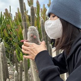 贝贝酱