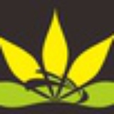 宝澜公司雅丽缇