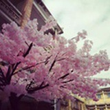 Xevar-