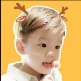 小毛咪