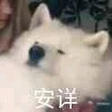 友军火箭弹
