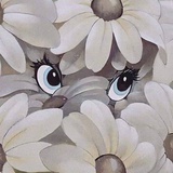 宁生
