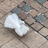 零之