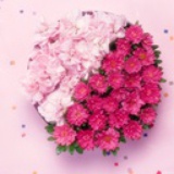 南通插花培训