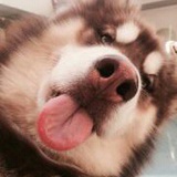 陆三金lz123