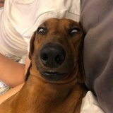 yoo