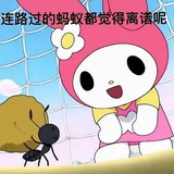 一.粒傻白