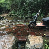 闹闹