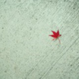 听心阁文化