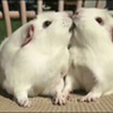 叫我晓明