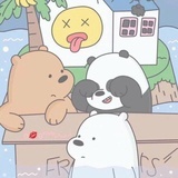 夏蝉冬雪