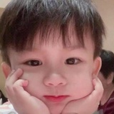 喵喵喵