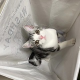 捷里