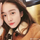 糖逗爱猫乐