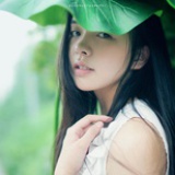 绿叶的悲伤