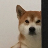 惨绿青年