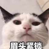 乱七八糟