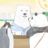 没有熊猫