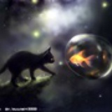 黑猫