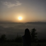会走的树