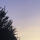 良友叔