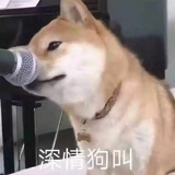 大树底下不乘凉