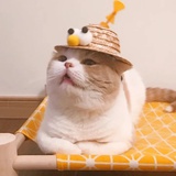 就尝一小口