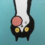 巷子里的猫