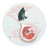 白术