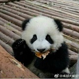 磨磨唧唧
