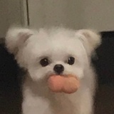 唯爱辣pp