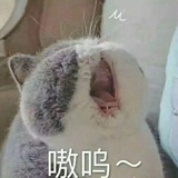 藏了两颗星星