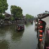 紫絮纷飞