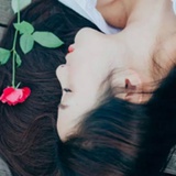 何以情深