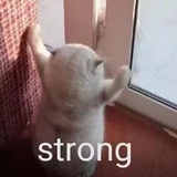 说真