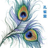孔雀里
