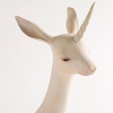 Nara