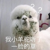 已注销