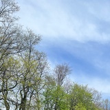 志国比我大四岁