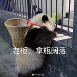 杰西