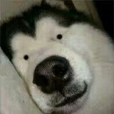 随便