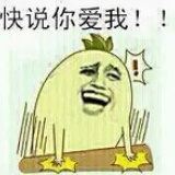 焦虑的麦香饼