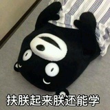 你个二哈
